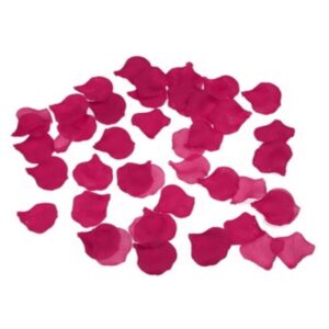 DIABLO PICANTE - 100 FUCHSIA BLÄTTER